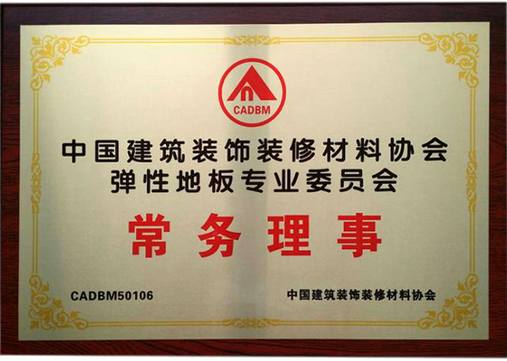 中国弹性地板专业委员会常务理事